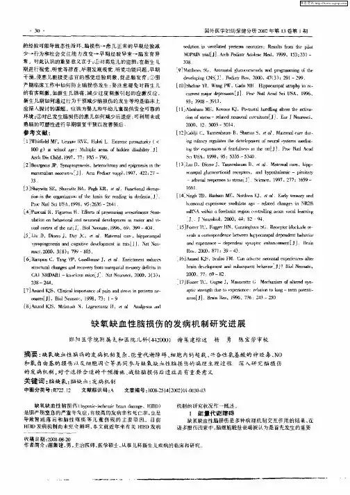 缺氧缺血性脑损伤的发病机制研究进展