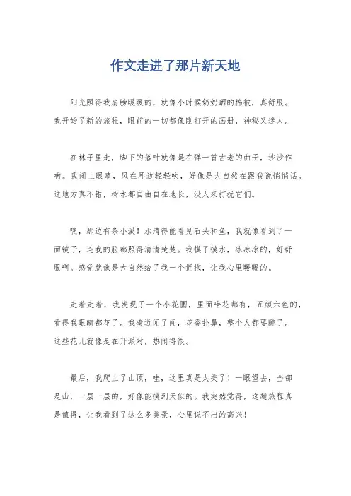 作文走进了那片新天地