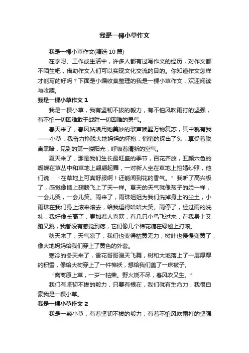 我是一棵小草作文（精选10篇）