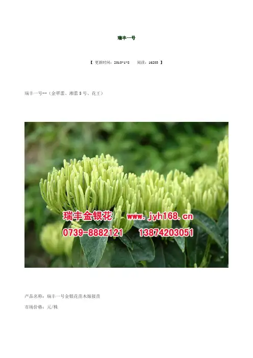金银花部分名优品种介绍