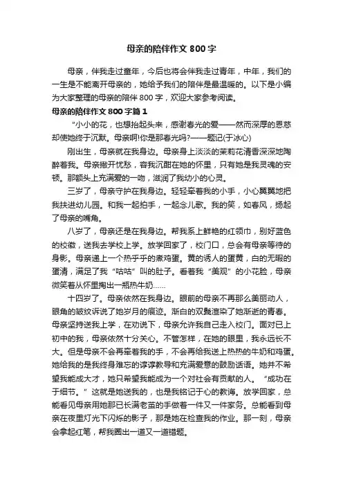 母亲的陪伴作文800字