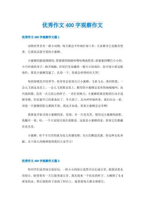 优秀作文400字观察作文