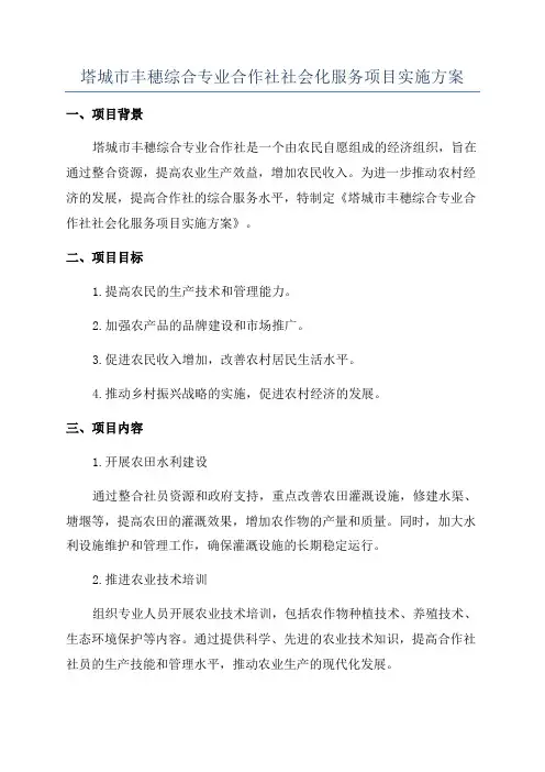 塔城市丰穗综合专业合作社社会化服务项目实施方案