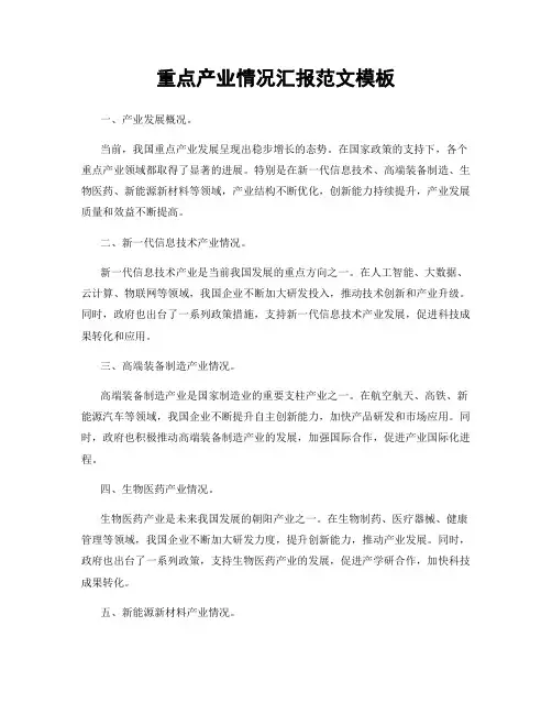 重点产业情况汇报范文模板