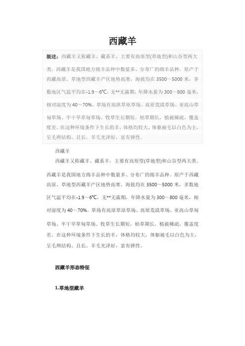 西藏羊