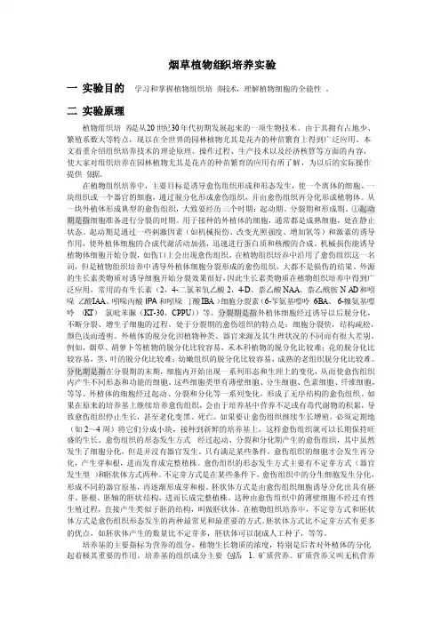 烟草植物组织培养