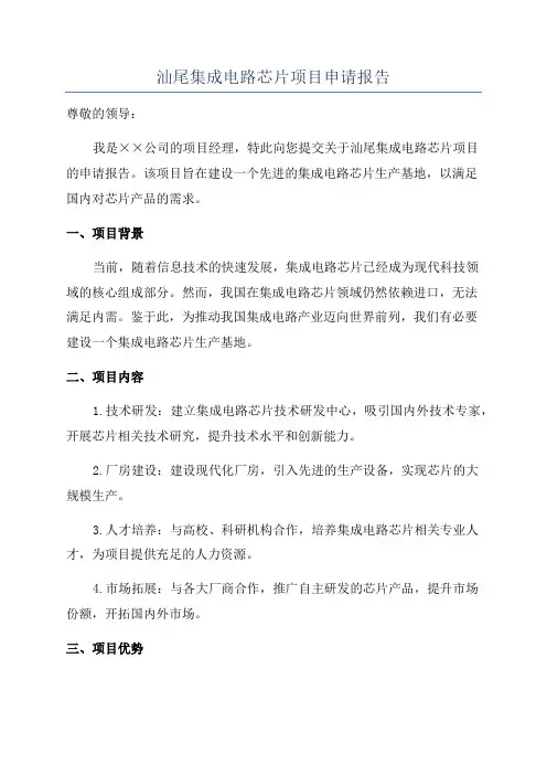 汕尾集成电路芯片项目申请报告
