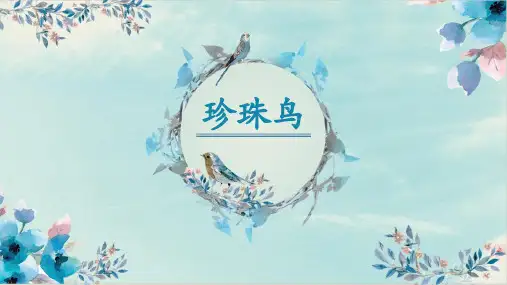 《珍珠鸟》ppt课件