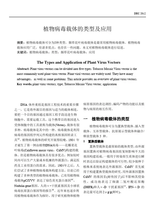 植物病毒载体