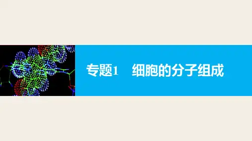 高三高考二轮复习 生物 必修一 细胞的分子组成