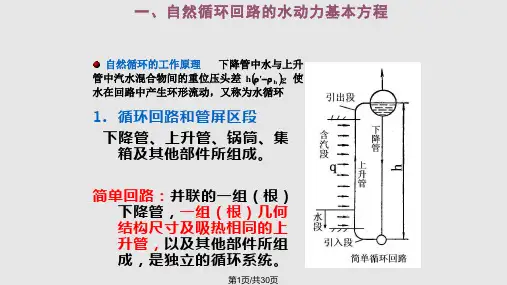 自然循环原理及其计算PPT课件