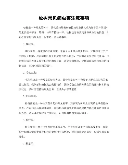 松树常见病虫害注意事项