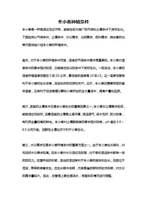 冬小麦种植条件