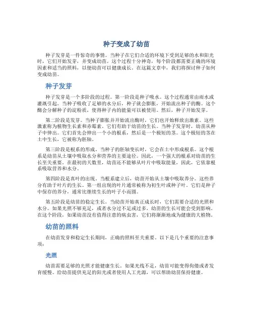 种子变成了幼苗