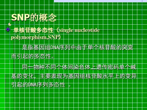 单核苷酸多态性及其应用45页