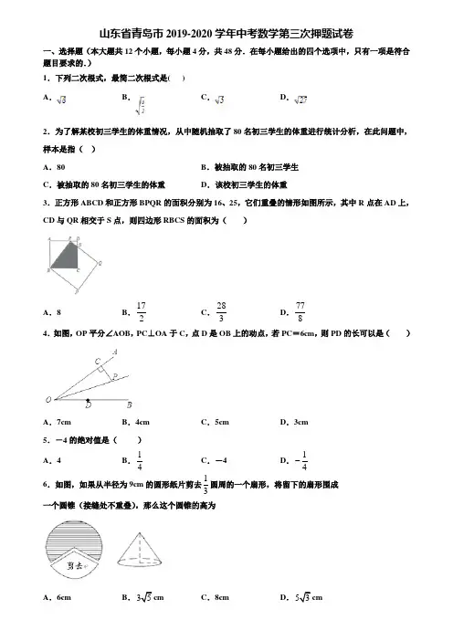 山东省青岛市2019-2020学年中考数学第三次押题试卷含解析