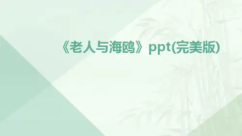 《老人与海鸥》ppt(完美版)