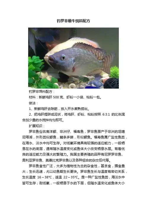 钓罗非最牛饵料配方