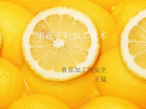 (warm原创)果蔬干制