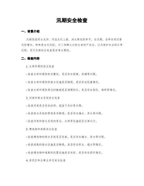 汛期安全检查
