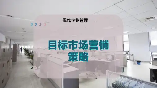 目标市场营销策略