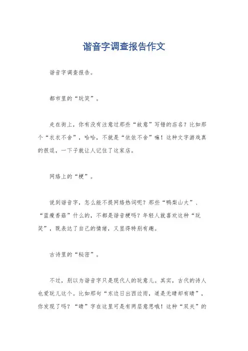 谐音字调查报告作文