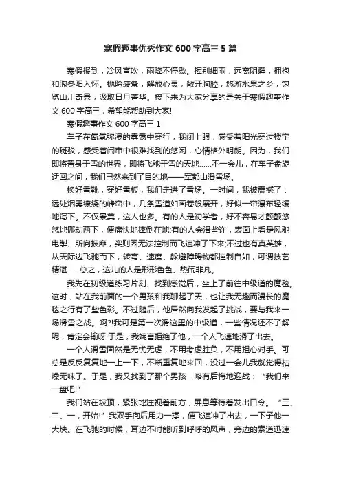 寒假趣事优秀作文600字高三5篇
