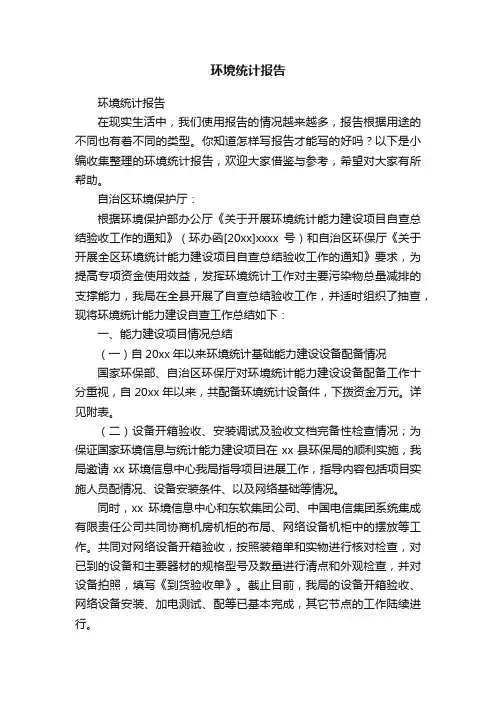 环境统计报告