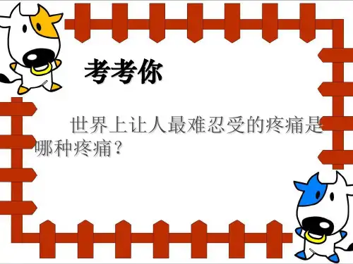 莫让等待成遗憾主题班会