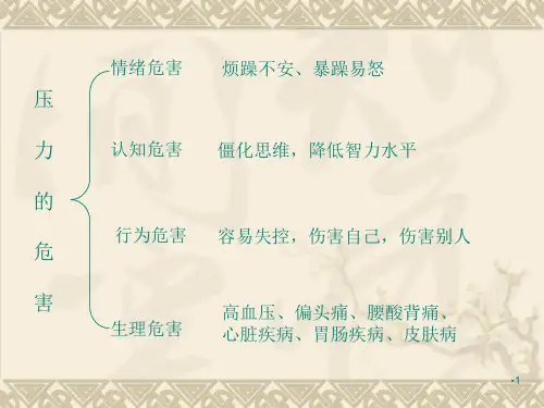 释放压力轻松前行PPT课件