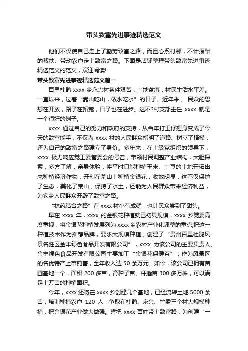带头致富先进事迹精选范文