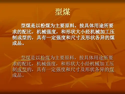 型煤