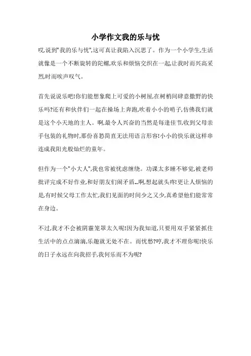 小学作文我的乐与忧