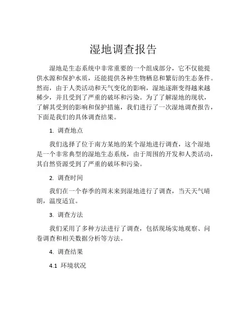 湿地调查报告