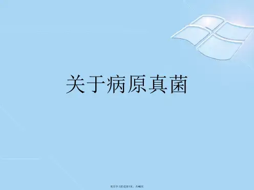 病原真菌课件