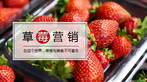 草莓主题水果营销策划PPT模板