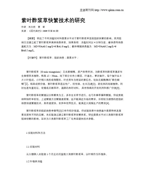 紫叶酢浆草快繁技术的研究