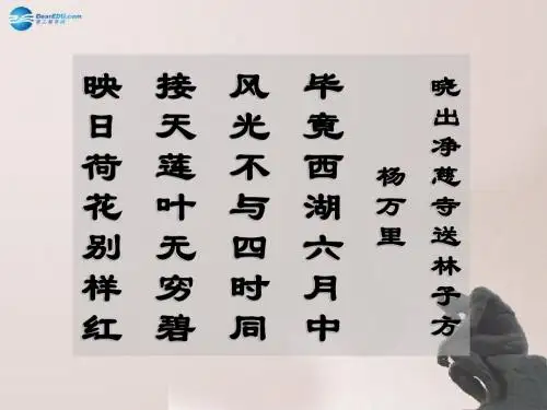 八年级语文上册 29 湖心亭看雪课件 新人教版