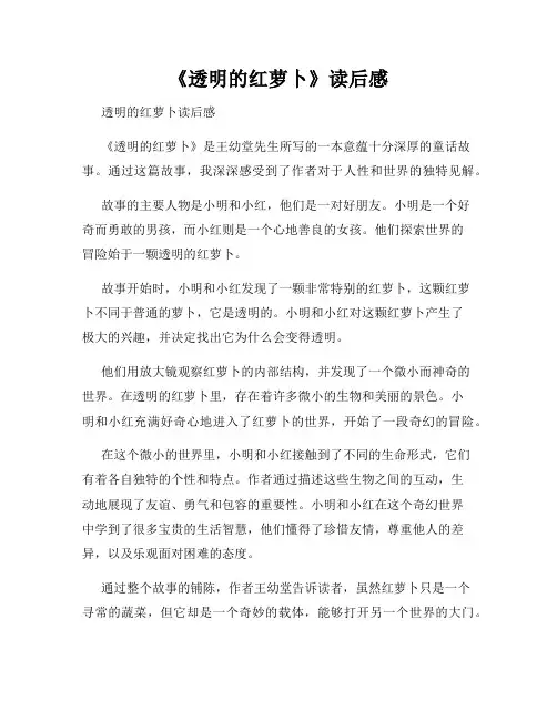 《透明的红萝卜》读后感