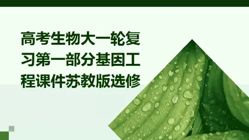 高考生物大一轮复习第一部分基因工程课件苏教版选修