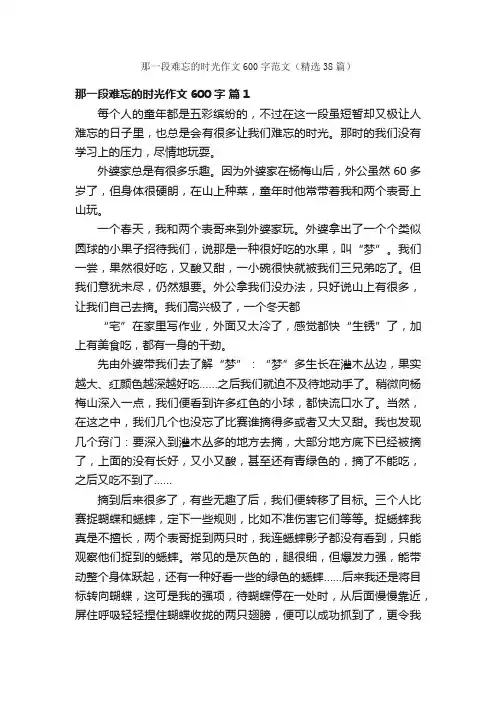 那一段难忘的时光作文600字范文（精选38篇）