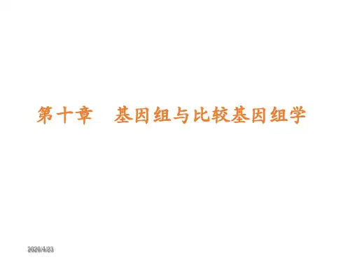 基因组和比较基因组学