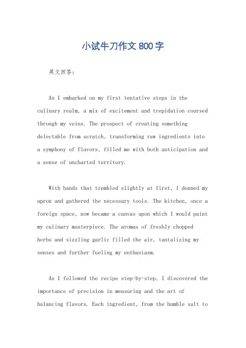 小试牛刀作文800字