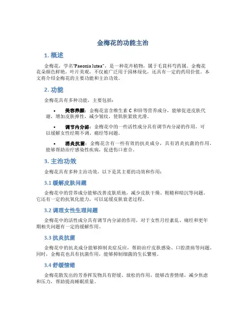 金梅花的功能主治
