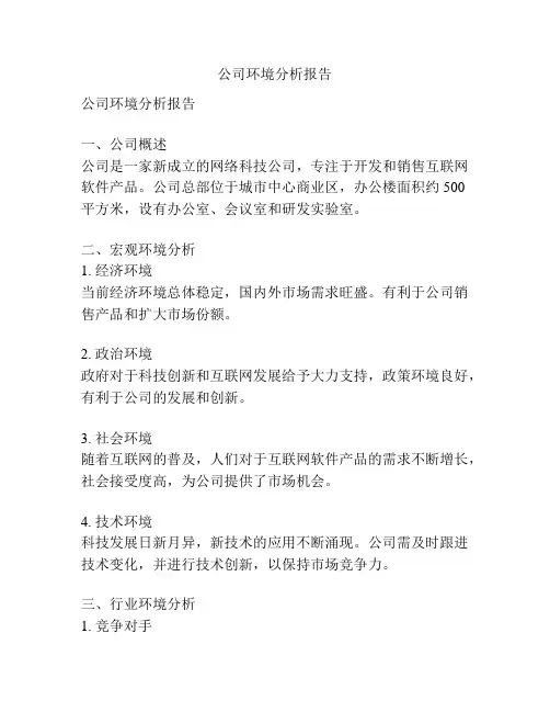 公司环境分析报告