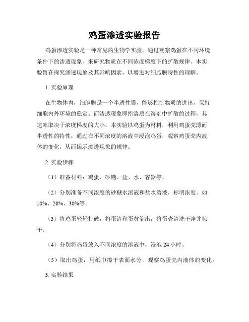 鸡蛋渗透实验报告
