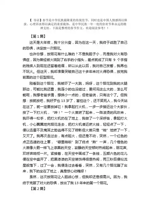 九年级快乐的春节作文400字三篇
