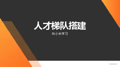 小米公司人才梯队建设体系