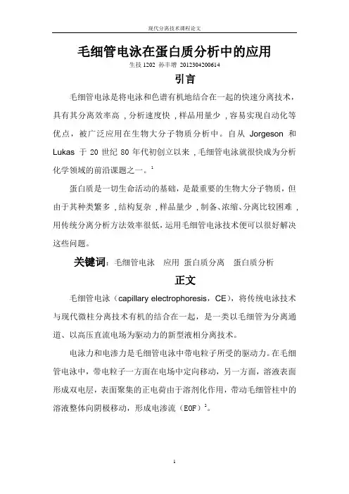 毛细管电泳在蛋白质分析中的应用