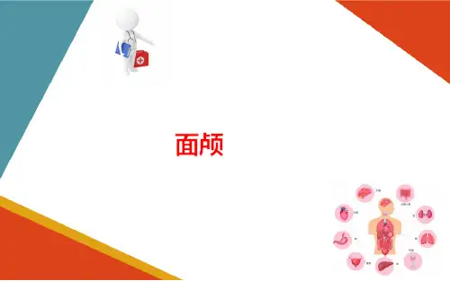 运动系统 骨 面颅 人体解剖学课件